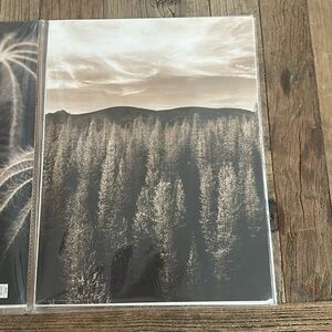 IKEA Trilling poster art 12 x 16 set of 2